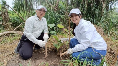 七星潭啟動臨海植群「宮脇法」復育，　營造親人的森林生態。